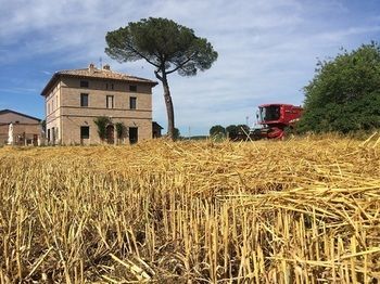 Alloggio per agriturismo La Paradiso